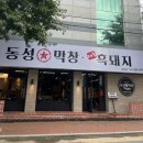 동성 | 대구 중구 대봉동 ‘1977 동성막창’ 후기(재방문 여부)