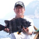 상사리(상) 이미지