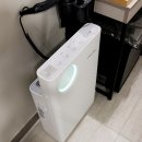 바나나무인호텔 이미지