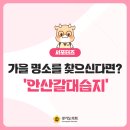 안산해솔초등학교 | 가을 명소를 찾으신다면? &#39;안산갈대습지&#39;