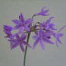 동화조경농원 이미지