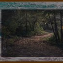 거제시농업개발원 | 거제시농업개발원 방문 후기: 새로운 농업 경험