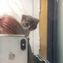 수민동물병원 이미지