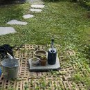 일층카페 이미지