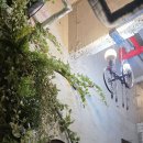 태산조경건설 이미지