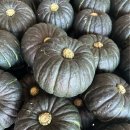 찬영농장 티스토리