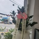 성일주유소 이미지