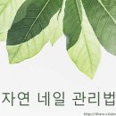 자연네일