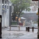 25년 5월 2박 3일 제주도 서귀포 여행기-2