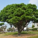 논산시청 이미지