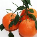 한길3농장 이미지