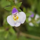 소리의섬 이미지