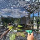 창인약품 이미지