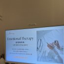 나의 향을 찾는 힐링 아로마테라피 이미지