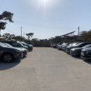 태인 애견 이미지