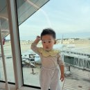 쁘띠꼬숑 | 17개월 아기 소비✨(꼬숑/얼리틀파자마/올라올라고쟁이/코니테디베어수트/어노트프롬/실내복/베베드피노...