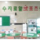 로얄스포츠 이미지