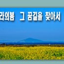 봄의 제주 그 꿈같은 길을 찾아서 이미지