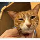 아이조아 요양보호소 서울점 이미지