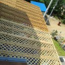 삼항1리 이미지