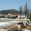 지정초등학교 이미지