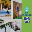 팀버렙타일 이미지