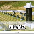 태웅장묘 이미지