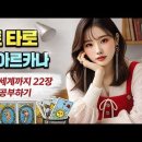 웨이트 타로 메이저 아르카나 8번 힘(Strength), 연애•운세•심리 등 각 분야별 해석 이미지