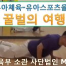 한국유아체육교육협회 티스토리