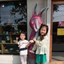 코끼리studio 이미지