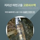 지리산고을 이미지