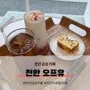 오프유 - 성북구 | 저녁 6시, 우리 둘만의 카페가 된 천안 감성 카페 오프유 후기