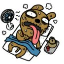 여자 혼자 다녀 온 보홀 여행기 1일차. 11월 보홀 날씨 0.5박 숙소 보홀 조이스파