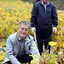 평곡4리 이미지