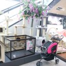 중리 더펫 동물병원 이미지