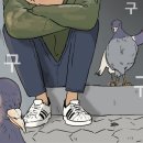 팔롬비니 이미지