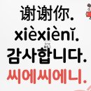 쩐호우츠