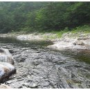 법수치통나무산장