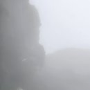 강정동-29 이미지