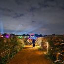 에코중앙로R 이미지