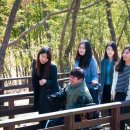 대구대학교환경 이미지