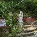 남부순환로328길 49__ 이미지