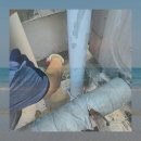 울산한약품 이미지