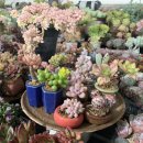 한샘농장 이미지