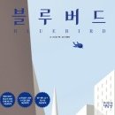 블루버드(Blue bird) 이미지