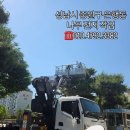 중원-25 | ⭐️경기 성남시 중원구 은행동 나무 전지 작업｜스카이차 작업 후기⭐️