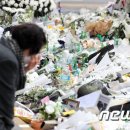 삼풍 생존자 "그땐 YS 사과…사람 죽었다에 '난 돈 잃었소' 회장 말 생생" 이미지