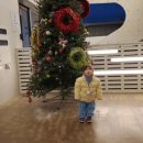 씨앤트리 이미지