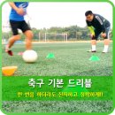 인스텝주 네이버블로그