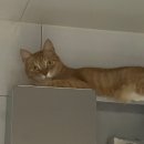 뚱땅뚱땅 이미지